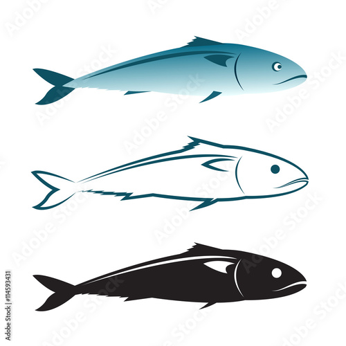 Vector image of an mackerel design on white background., Mackere