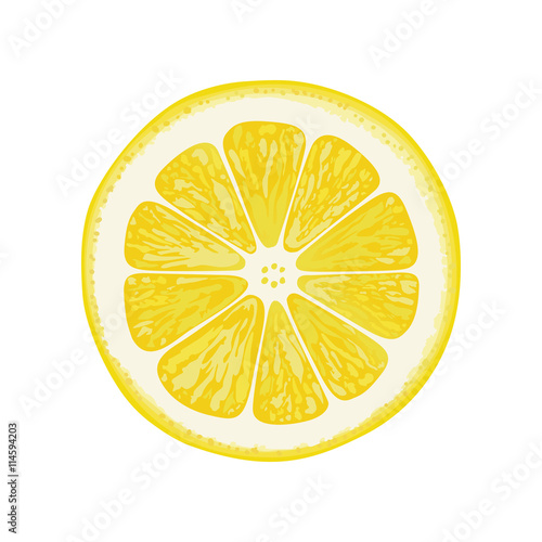 vector illustration of lemon