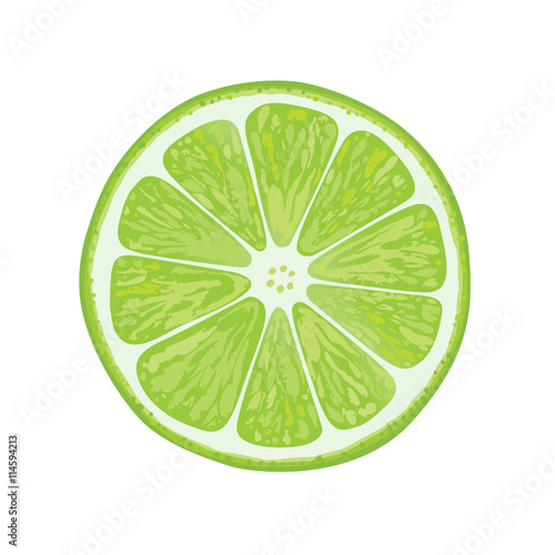 vector illustration of lime