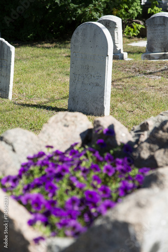 Grave with Purple Flowers in Foreground