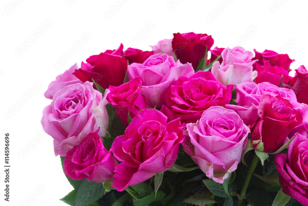 bouquet of fresh pink roses bouquet of fresh pink roses