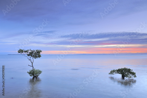 Australia Landscape   Moreton Bay at dawn viewed from Wellington Point