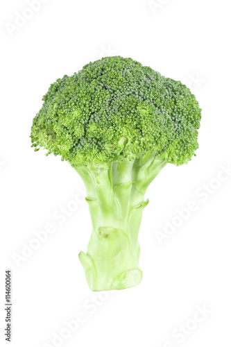 one broccoli isolated on white
