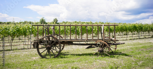 Discarded horse cart with broken wheels