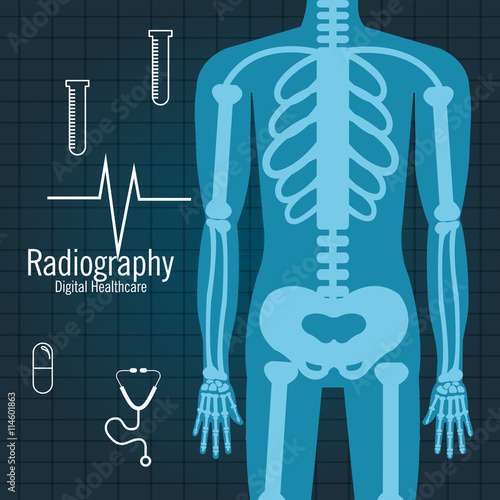 body radiography isolated icon design, vector illustration  graphic 