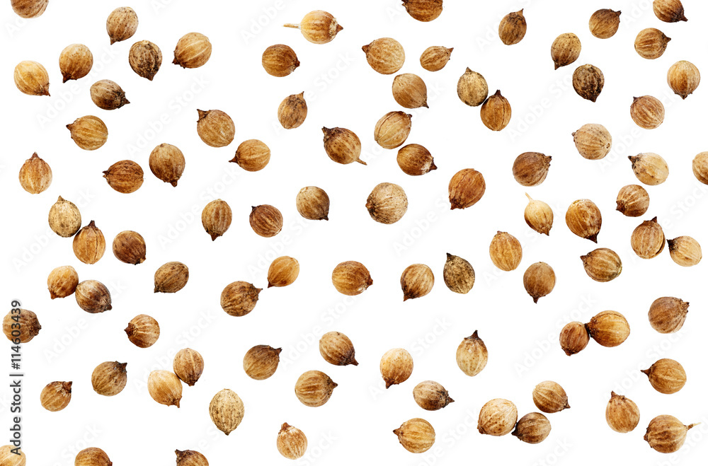 Obraz premium Coriander seeds isolated on white background