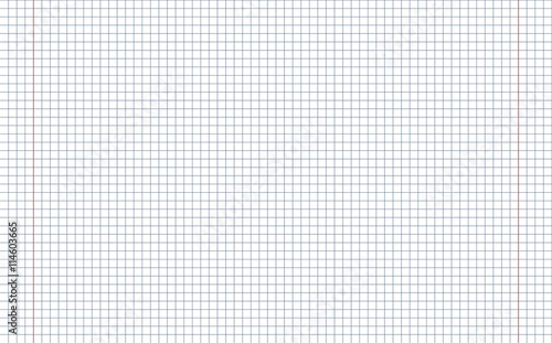 Exercise book for math spread. Vector illustration. Blank exercise book. 
Cage 0.5 / 0.5 mm. A seamless pattern. 