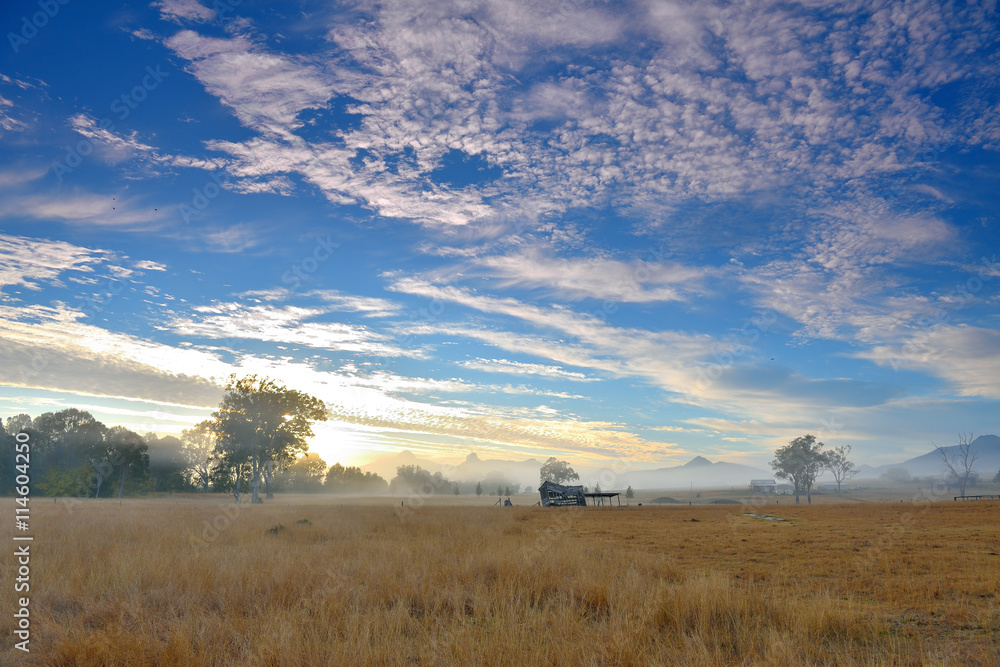 Australia Landscape : Farming in Australia