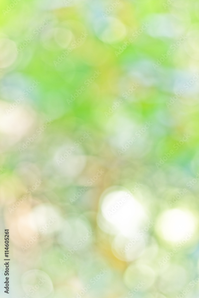 Sunny abstract green nature background, selective focus. Sunny abstract green nature background, selective focus.