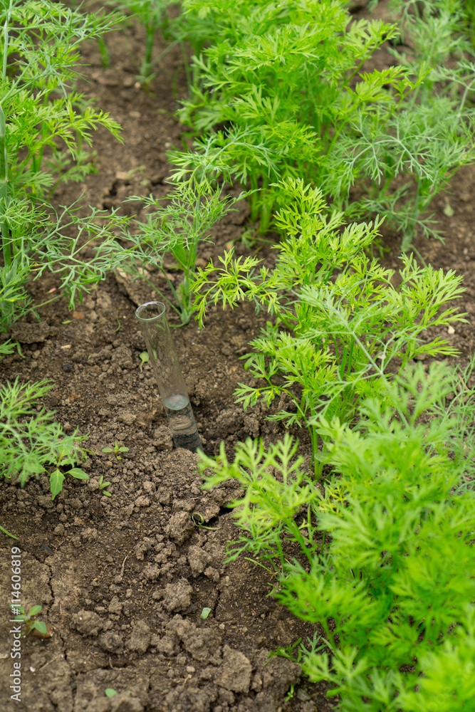 Liquid in chemical ware on a background of plants, fertilizers or pesticides in the garden. Liquid in chemical ware on a background of plants, fertilizers or pesticides in the garden.