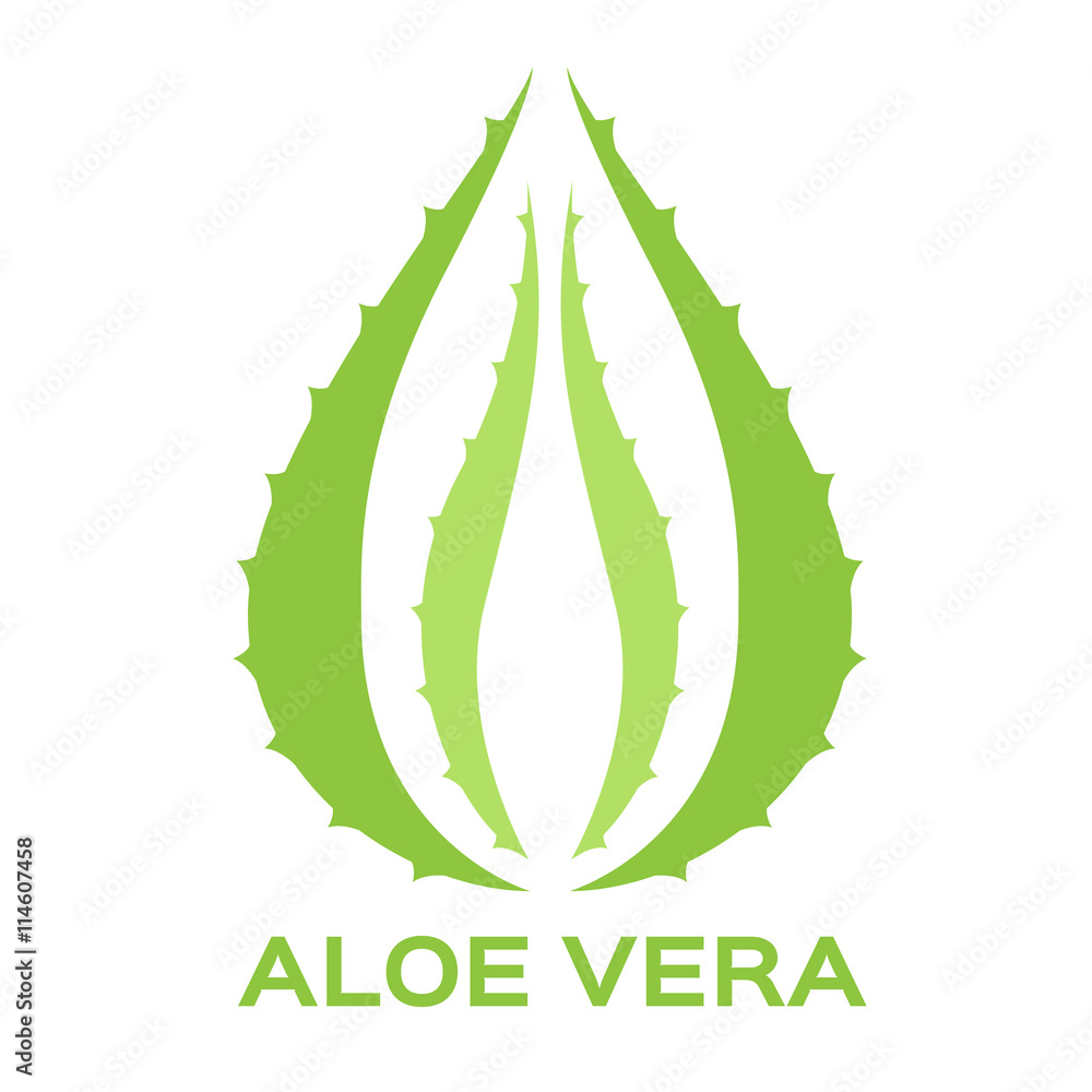 Aloe vera vector illustration, template logo. Company logo design Stock  Vector | Adobe Stock