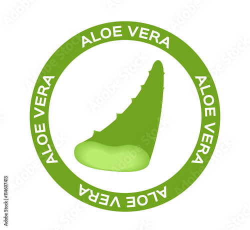 Aloe vera vector illustration, template logo. Company logo design