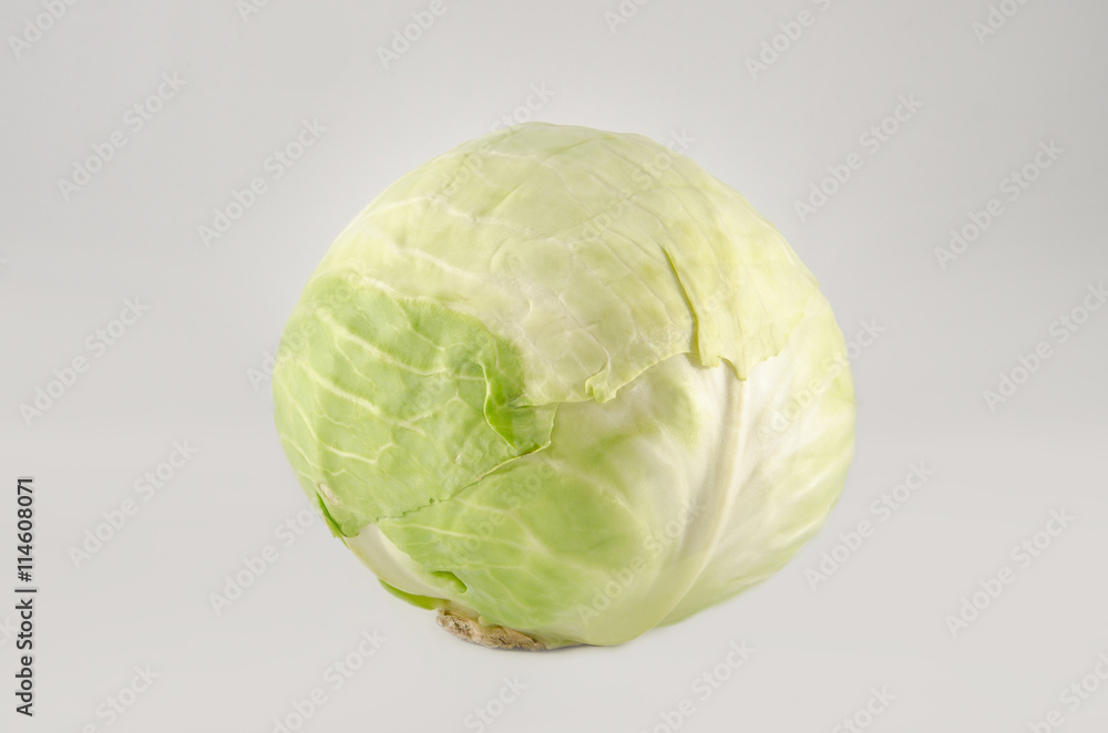 Fototapeta premium Cabbage