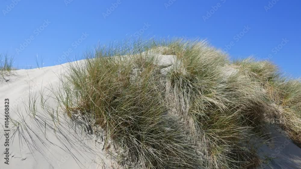 Düne vor blauen Himmel auf Urlaubsinsel Düne vor blauen Himmel auf Urlaubsinsel