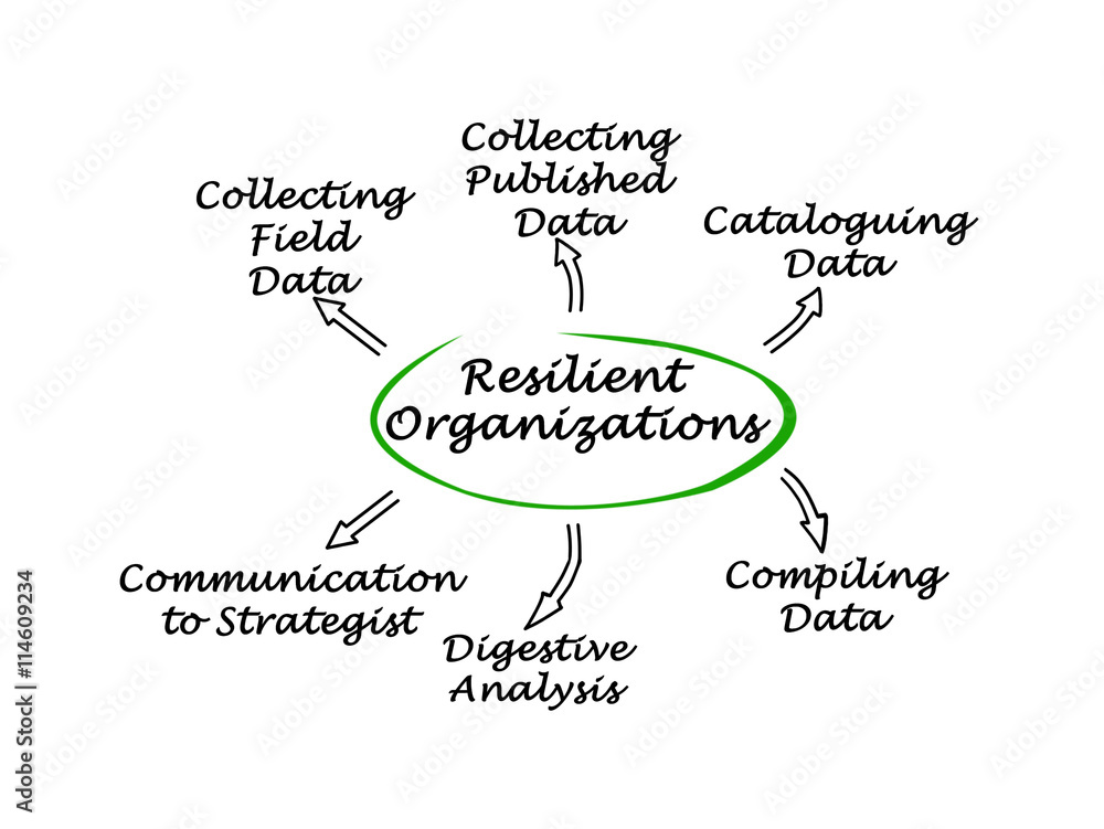 Diagram of Resilient Organizations Diagram of Resilient Organizations