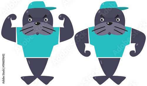 Two funny seals