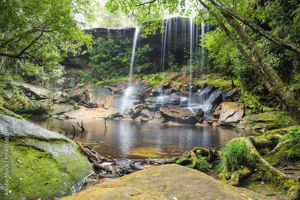 Fototapeta premium Waterfall in jungle