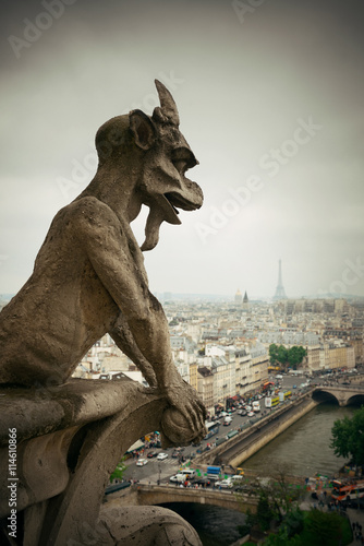 Paris rooftop view © rabbit75_fot