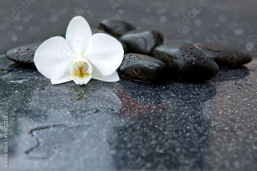 Fototapeta Naklejka Na Ścianę i Meble -  White orchid and black stones close up.