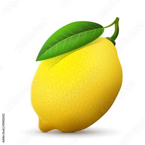 Fresh lemon fruit close up. Lemon with leaf isolated on white background. Qualitative vector illustration about lemon, food, agriculture, fruits, cooking, gastronomy, etc