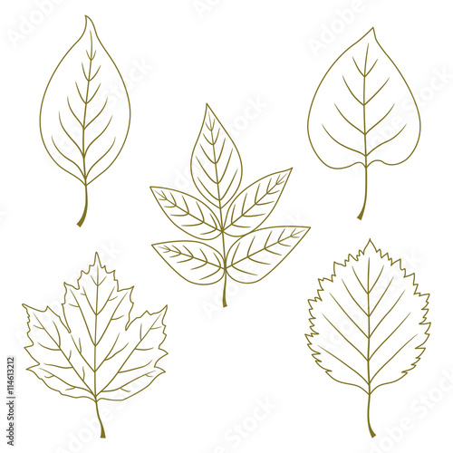 Collection of line green leave icons. Vector hand drawn illustration.