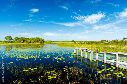 Fototapeta Naklejka Na Ścianę i Meble -  Florida Nature Preserve