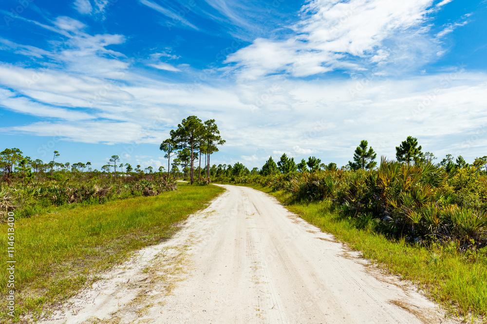Fototapeta premium Florida Nature Preserve