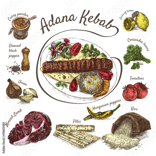 Vector illustration of adana kebab ingredients