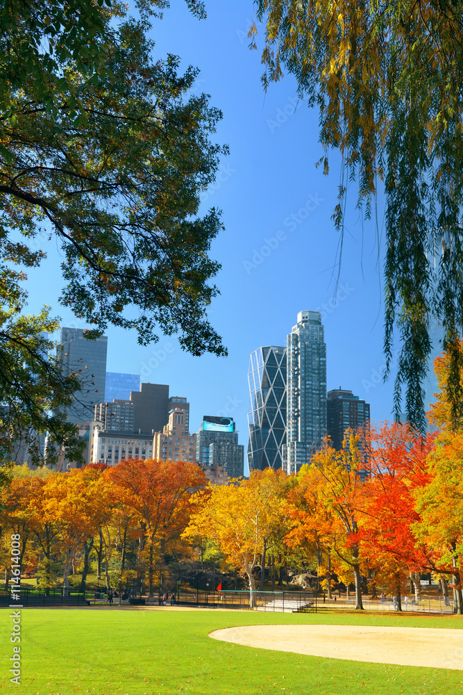 Naklejka premium Central Park Autumn