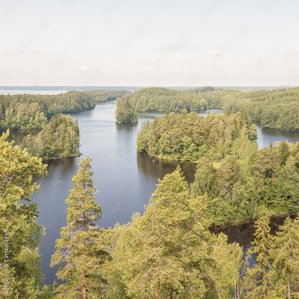 Summery forests and lakes in Finland