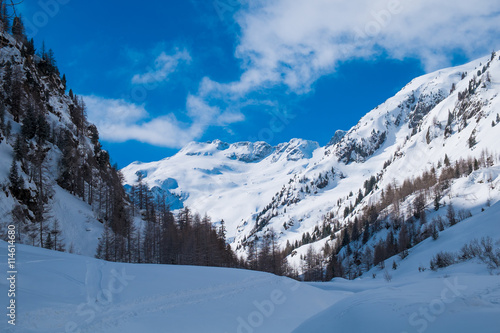 Winter landscape © Elisa Locci