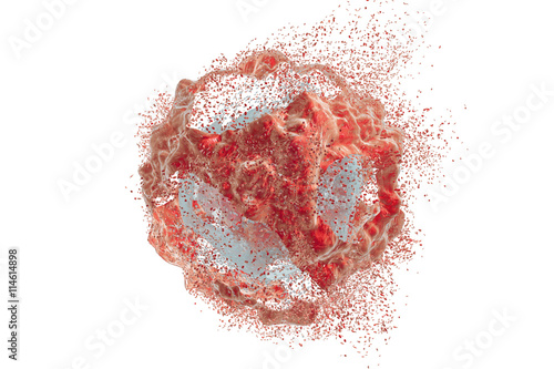 Destruction of a tumor cell. 3D illustration. Series of images showing different stages of destruction of a tumor cell. Can be used to illustrate effect of drugs, medicines, microbes, nanoparticles photo