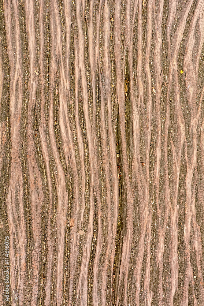 Wood texture Wood texture