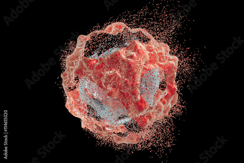 Destruction of a tumor cell. 3D illustration. Series of images showing different stages of destruction of a tumor cell. Can be used to illustrate effect of drugs, medicines, microbes, nanoparticles photo