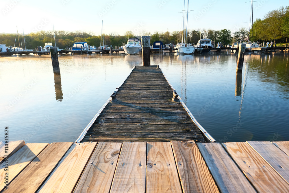 Naklejka premium Marina on Lake Cayuga