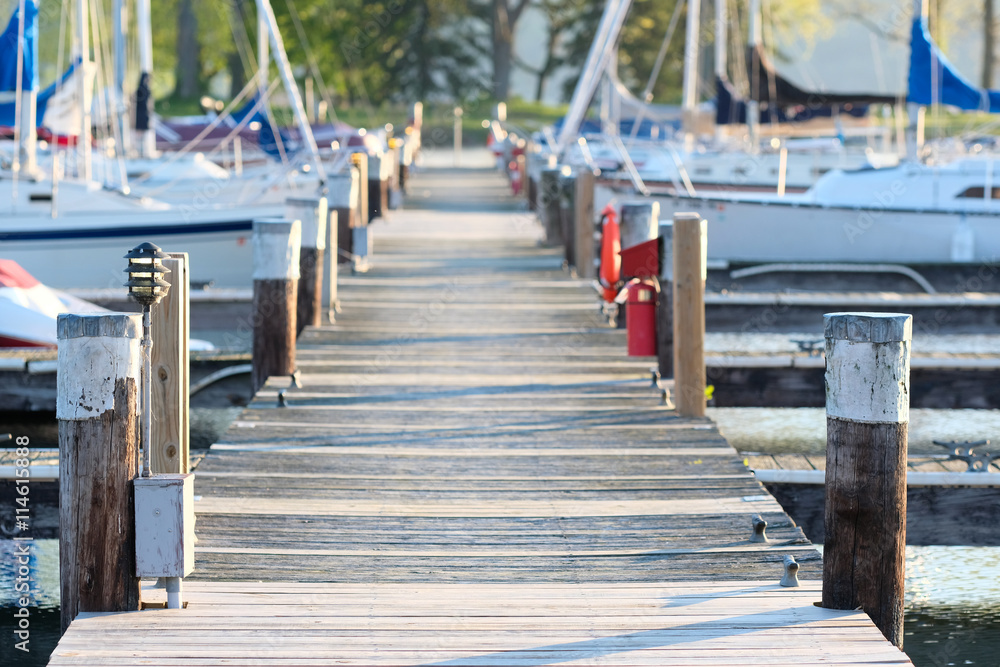 Marina on Lake Cayuga