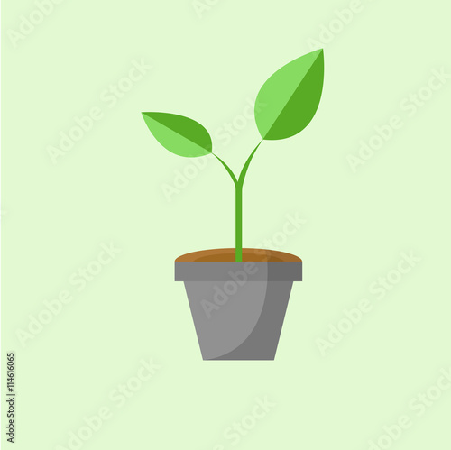 Vector of simple green plant icon