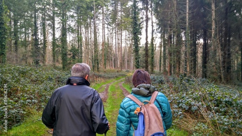 Wallpaper Mural Randonnée en Normandie Torontodigital.ca