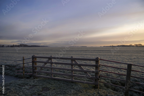 Frosted pasture near Wijngaarden