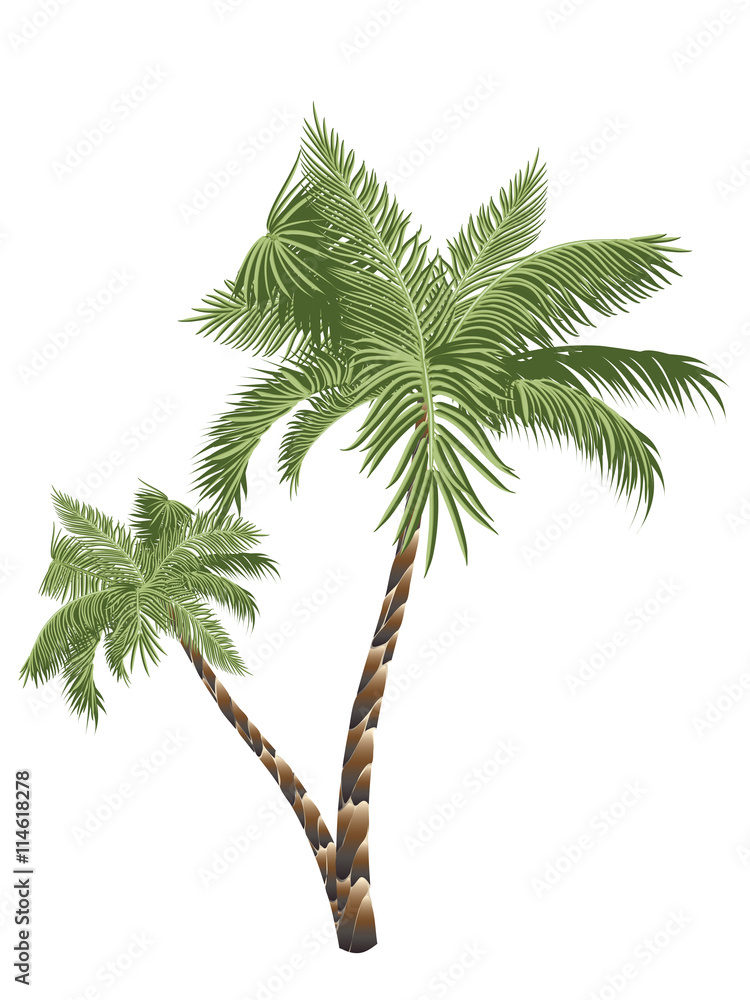 Two Palm Trees - obrazy, fototapety, plakaty 
