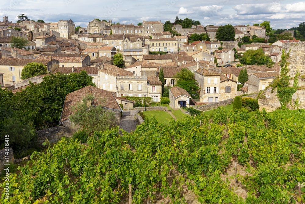 Vineyard and village in France