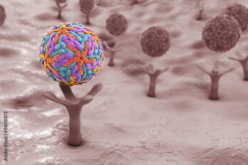 Zika virus attaching to AXL receptor on the surface of a neural stem cell, 3D illustration. Zika virus causes Zika fever leading to microcephaly in newborns photo