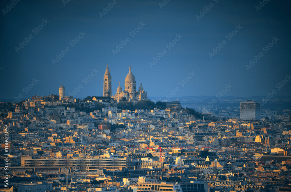 Fototapeta premium Paris Rooftop