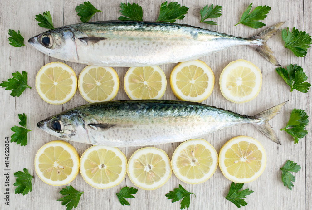 Atlantic mackerel Atlantic mackerel