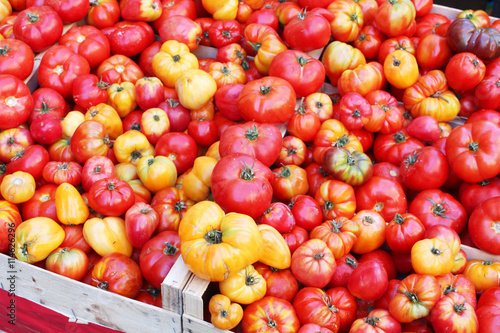 Tomates bio rouges et jaunes