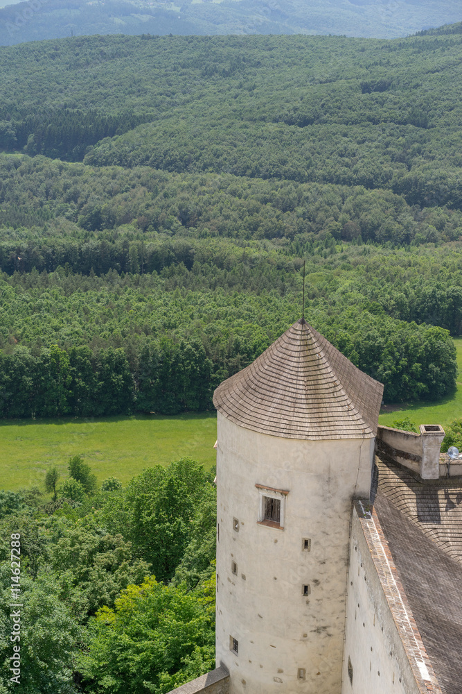 Vertical view from old castle surrounded by woods.