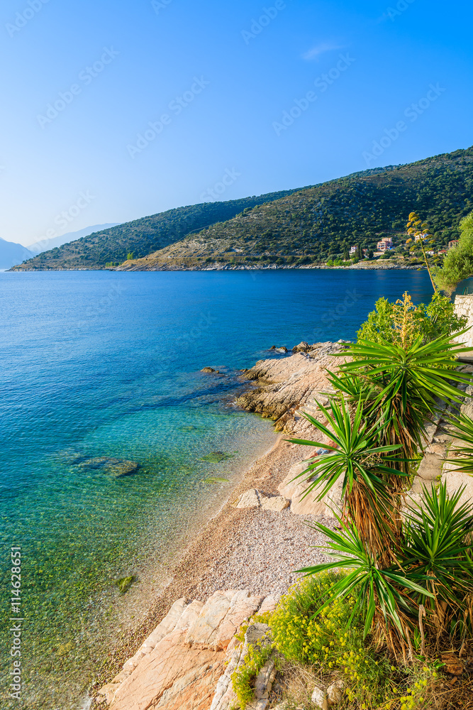 Tropical plants and beach on coast of Kefalonia island in Agia Efimia village, Greece
