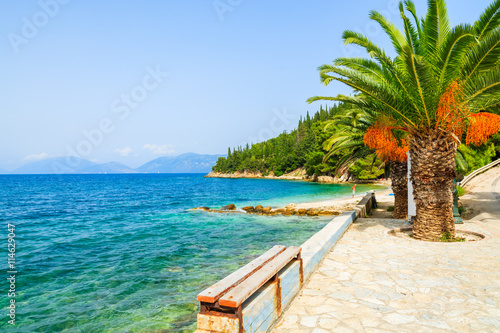 Fototapeta Naklejka Na Ścianę i Meble -  Palm tree on small beach and azure sea water in Sami village, Kefalonia island, Greece