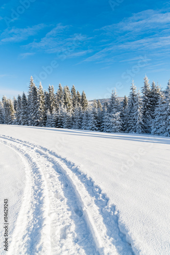Winter road on sunny day in Beskid Sadecki Mountains, Poland © pkazmierczak