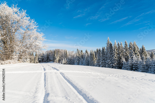 Ski track in winter landscape of Beskid Sadecki Mountains, Poland